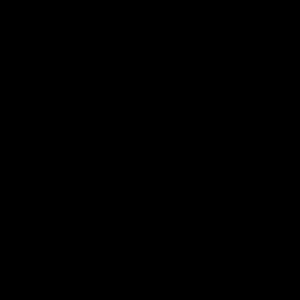 Meet your Posher, Hermela